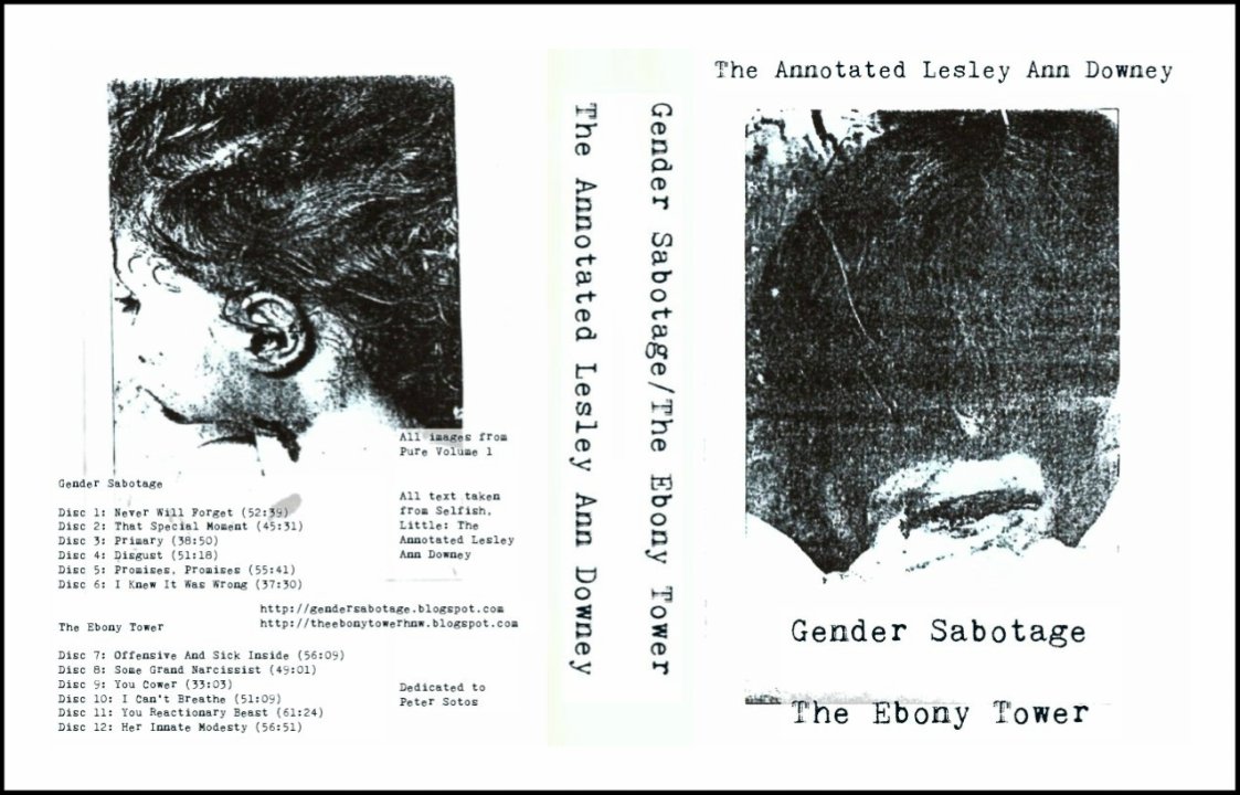 Cover of The Annotated Lesley Ann Downey