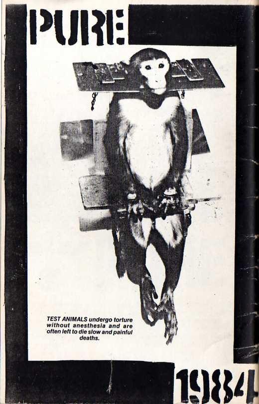 Back Cover of Pure #2